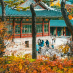 Cookies usage policy and tracking information for visitors of Koreavista travel guide